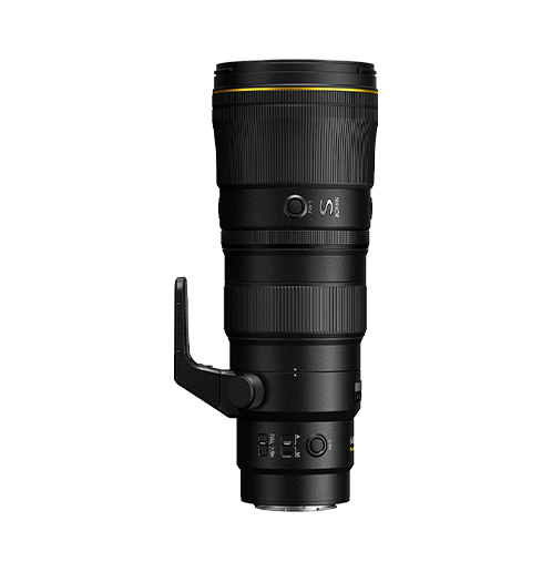 Nikon Z 600mm f/6.3 VR S Lens