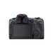 Canon EOS R5 full-frame mirrorless camera body details used for wildlife, content creators, and sports photography