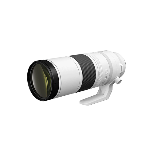 Canon RF 200-800mm f/6.3-9 IS USM Lens