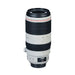 Canon EF 100-400mm f/4.5-5.6 L IS II USM Lens_Durban