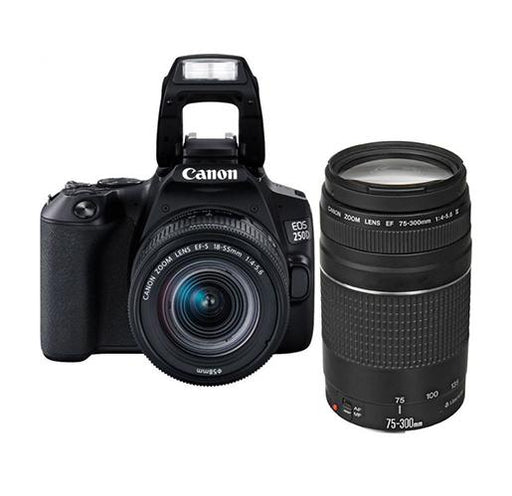 Canon EOS 250D DSLR Double Lens Kit_Durban 