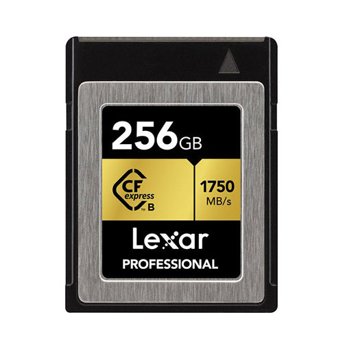 Lexar Professional 256GB CFexpress Type-B Memory Card_Durban